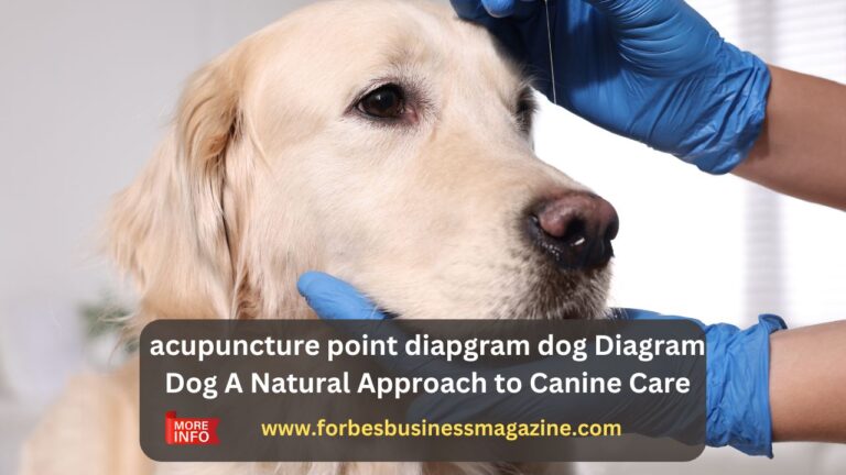 acupuncture point diapgram dog