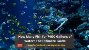 how many fish for 7400 gallons of water