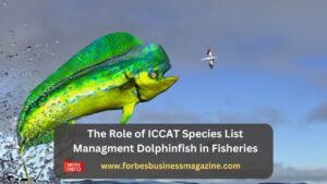 iccat species list managment dolphinfish