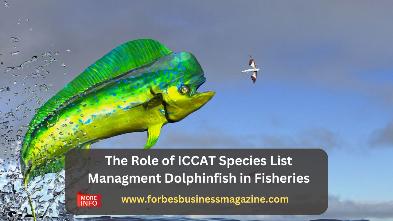 iccat species list managment dolphinfish