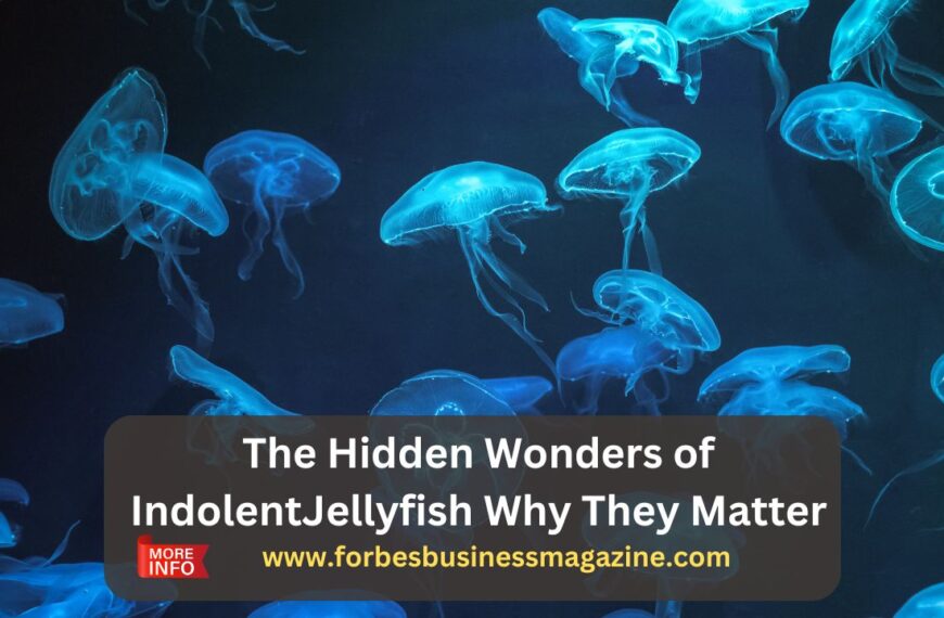 indolentjellyfish