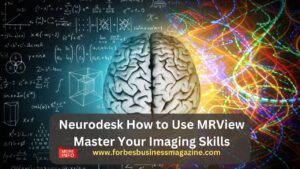 neurodesk how to use mrview