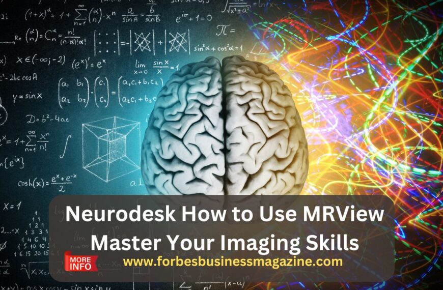 neurodesk how to use mrview