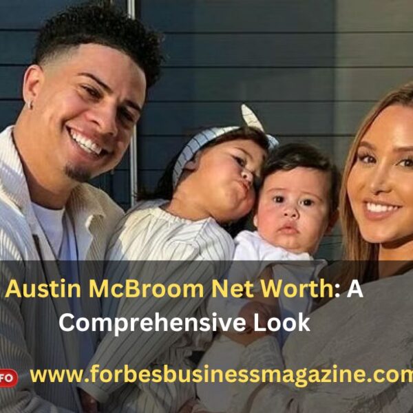 austin mcbroom net worth