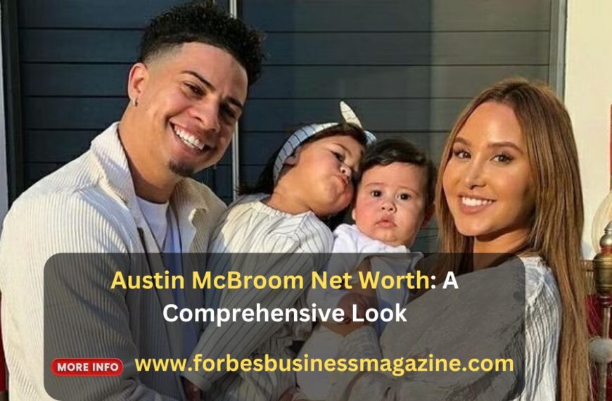 austin mcbroom net worth