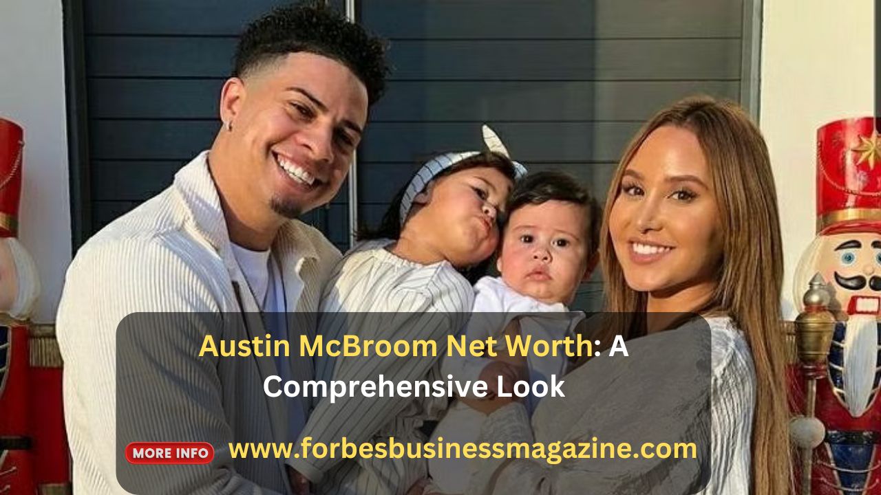 austin mcbroom net worth