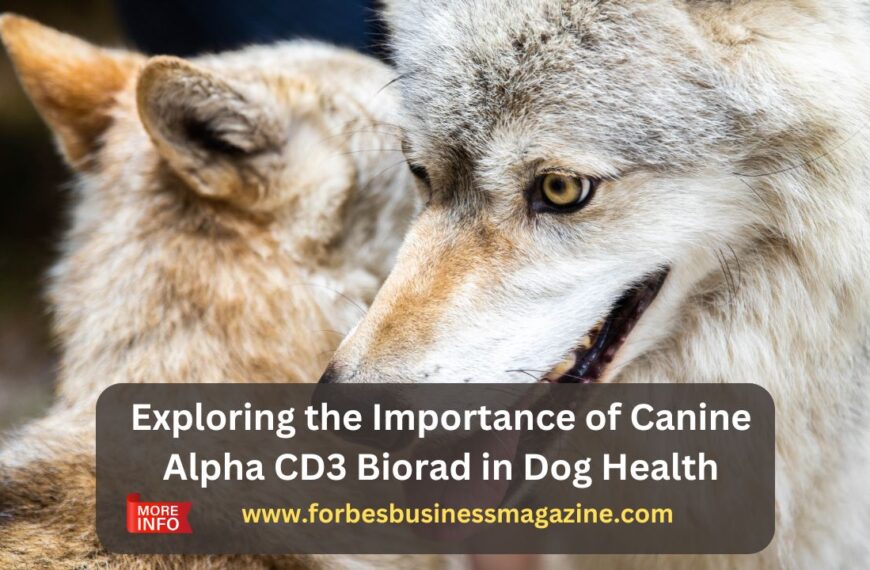 canine alpha cd3 biorad