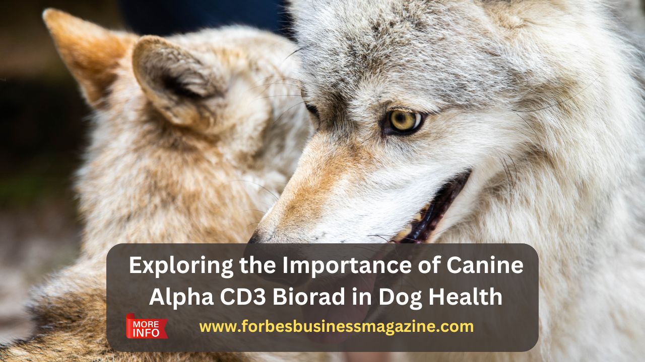 canine alpha cd3 biorad